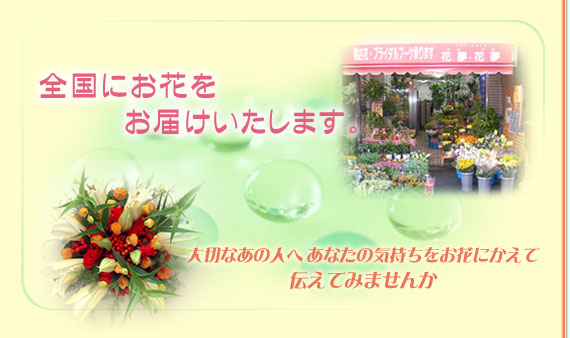 �t�����[�M�t�g �� �v���[���g��S���֑��������Ŕz���������܂��B������ ���Ǝ� �J�X�ԂȂǗl�X�ȑ��蕨 ���T�ɂ��p����������